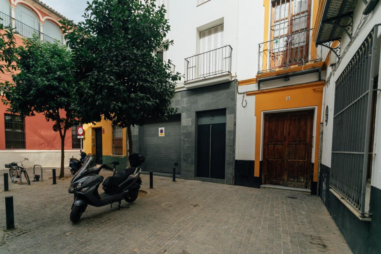 Alohamundi San Martin, Seville